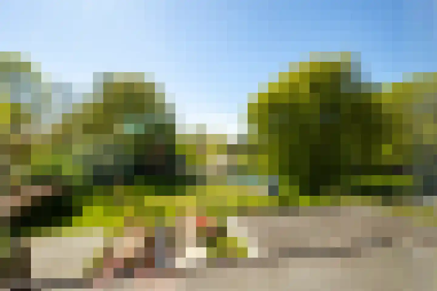 Prickwaert 42 Sliedrecht thumbnail 15