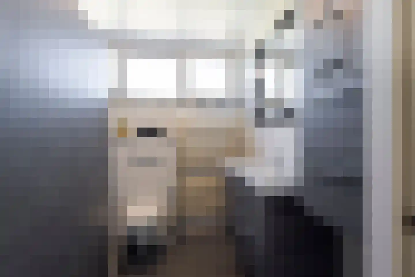 Prickwaert 42 Sliedrecht thumbnail 20