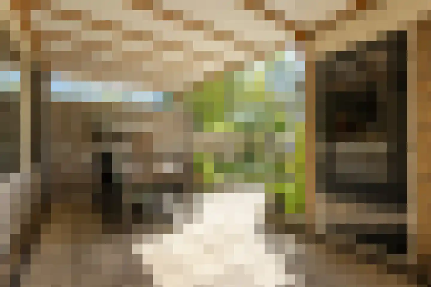Prickwaert 42 Sliedrecht thumbnail 25