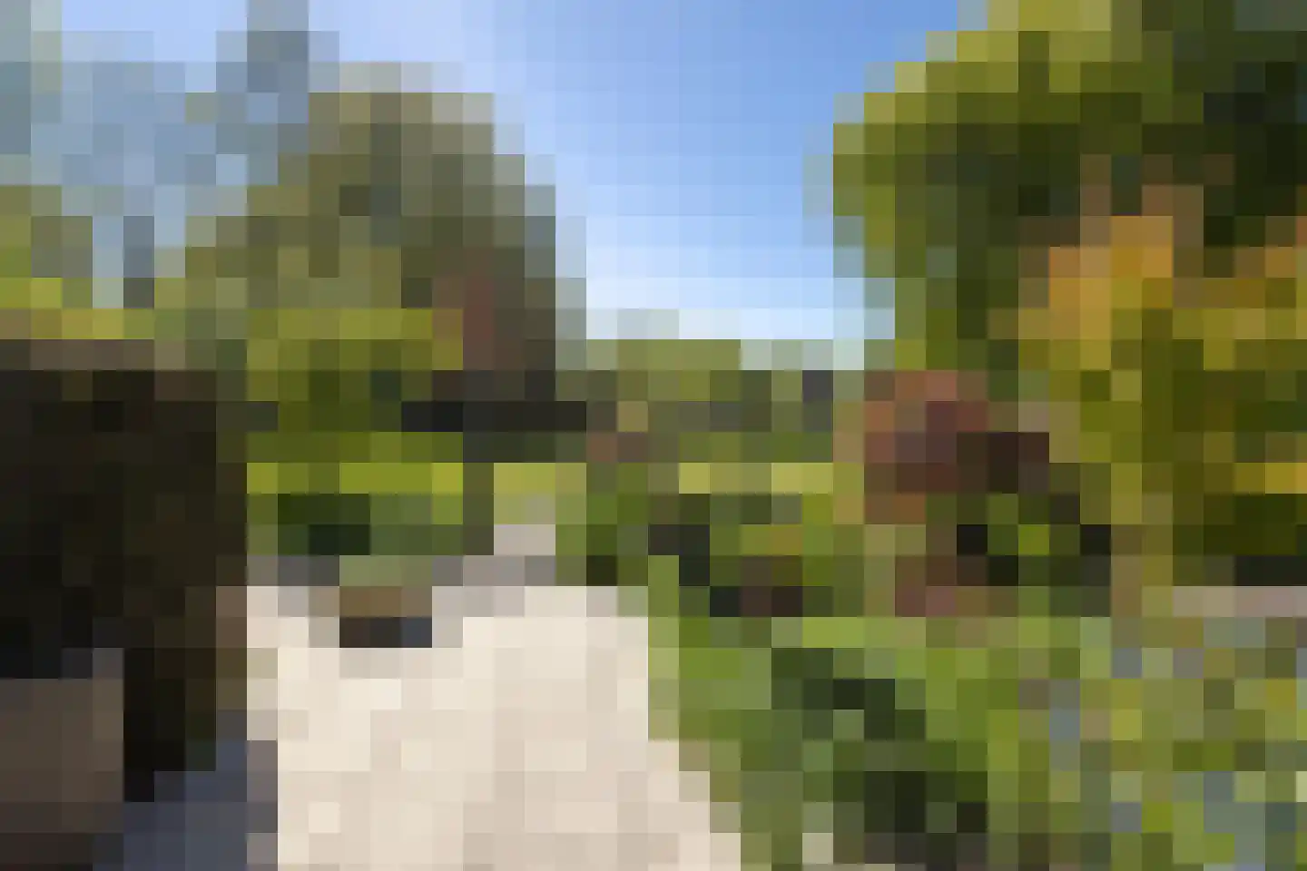 Prickwaert 42 Sliedrecht thumbnail 27