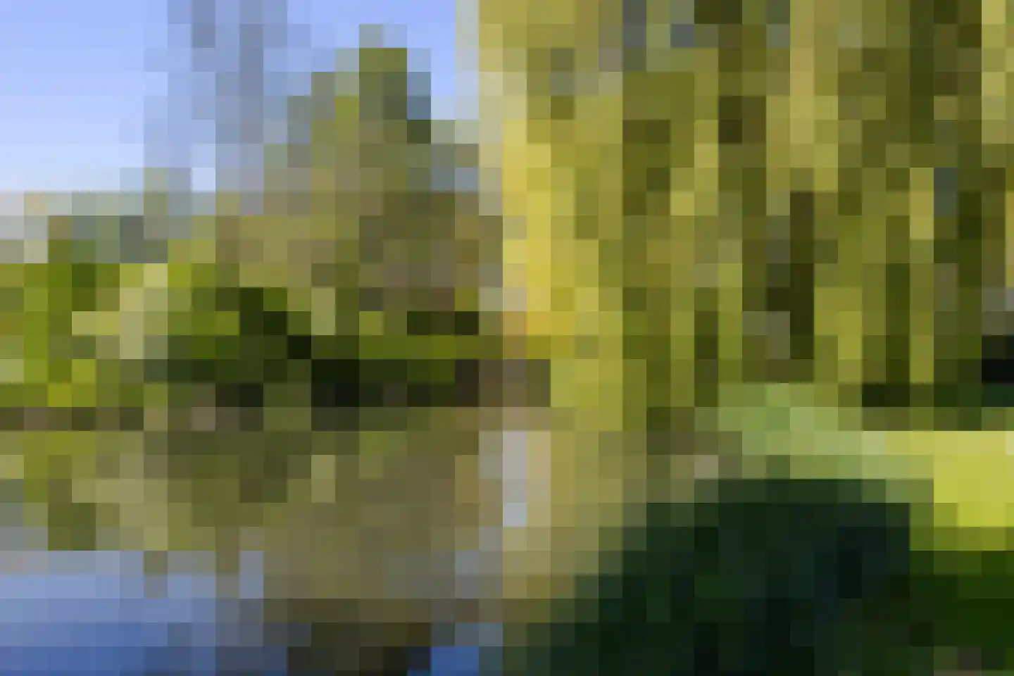 Prickwaert 42 Sliedrecht thumbnail 31