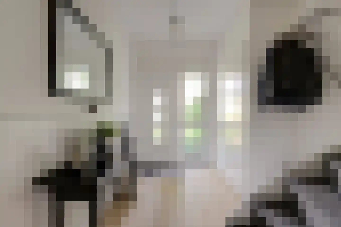 Prickwaert 64 Sliedrecht thumbnail 10