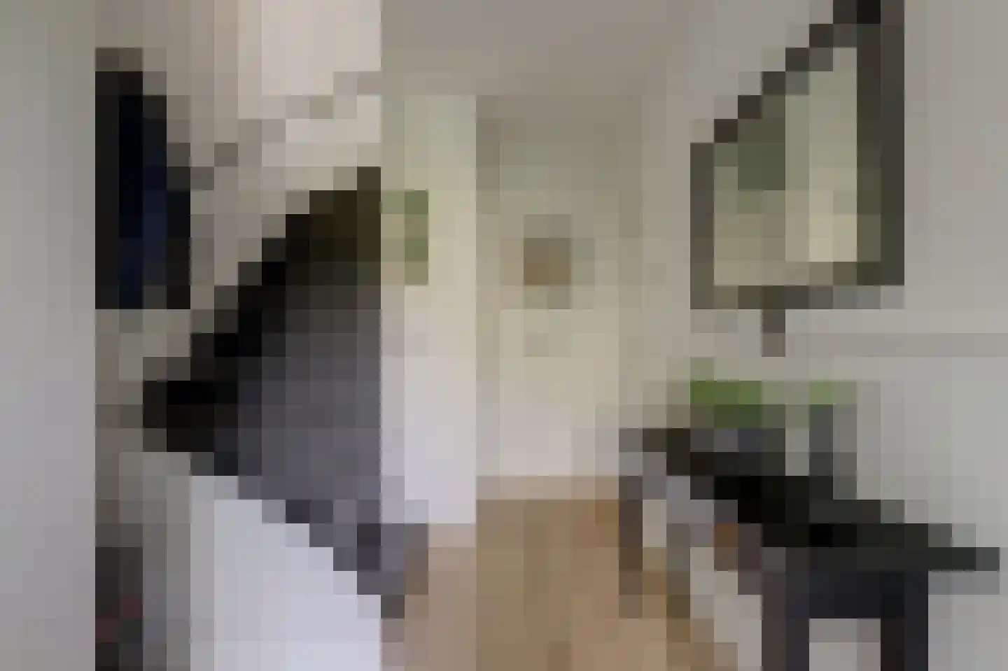 Prickwaert 64 Sliedrecht thumbnail 12