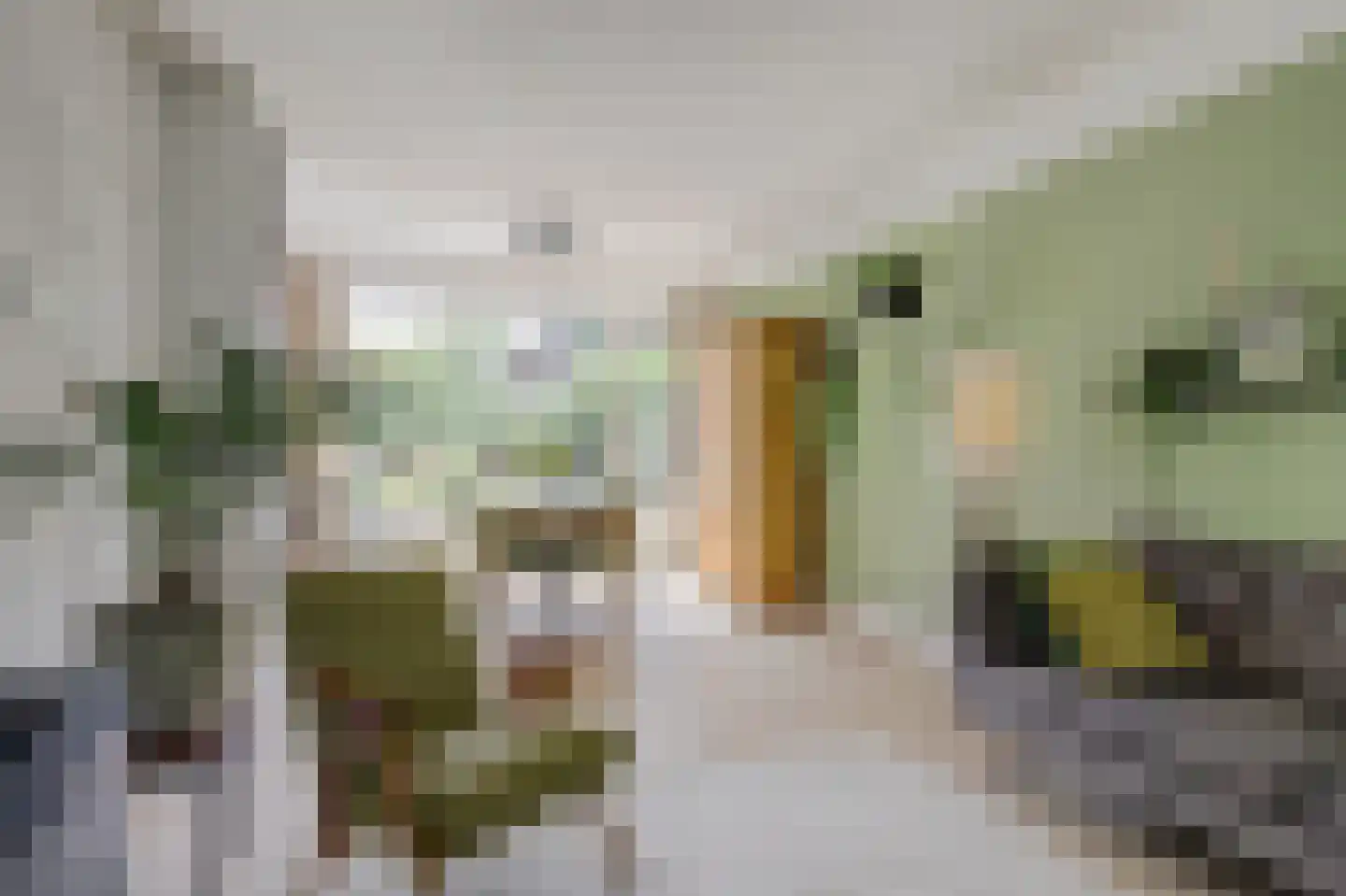 Prickwaert 64 Sliedrecht thumbnail 18