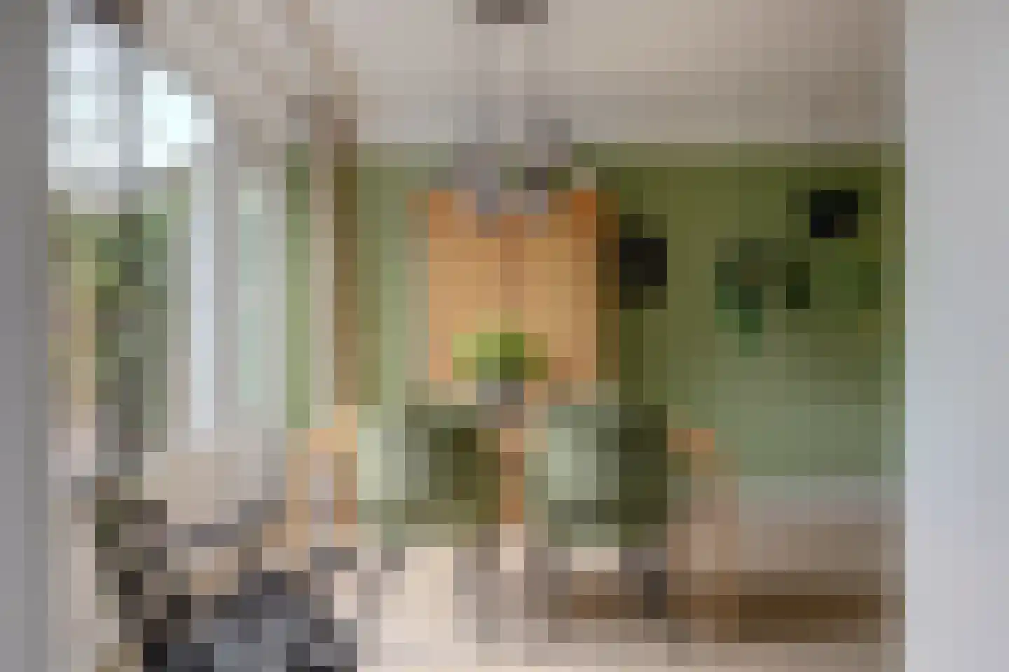 Prickwaert 64 Sliedrecht thumbnail 22