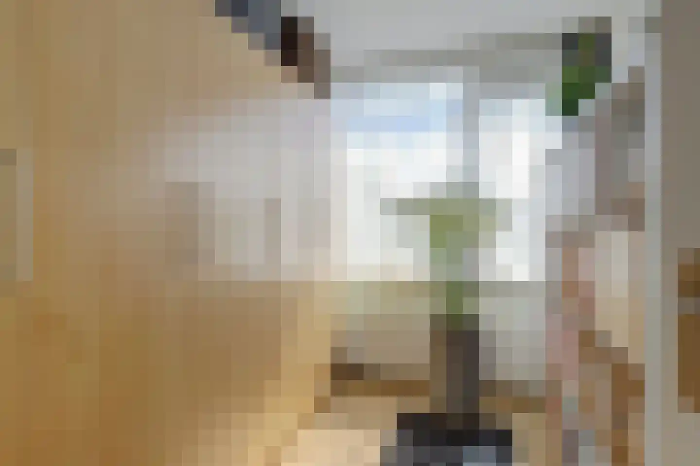 Prickwaert 64 Sliedrecht thumbnail 28