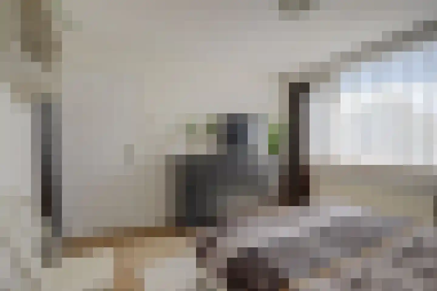 Prickwaert 64 Sliedrecht thumbnail 32
