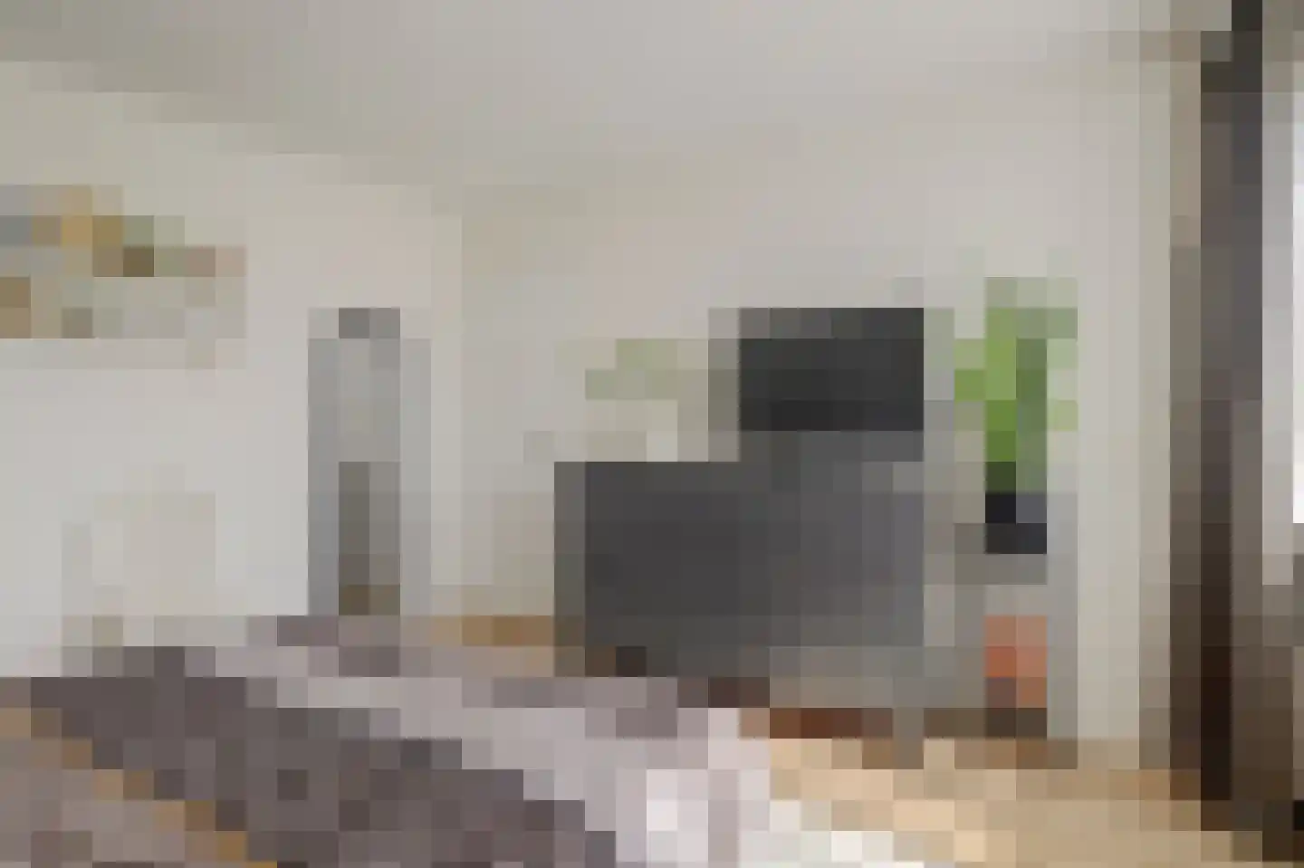 Prickwaert 64 Sliedrecht thumbnail 35
