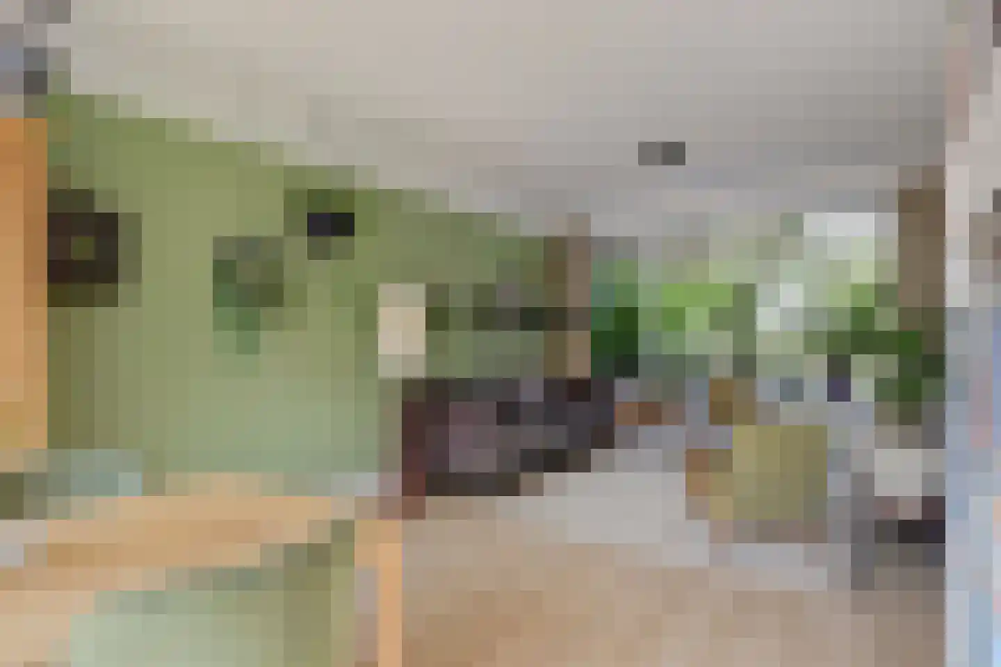 Prickwaert 64 Sliedrecht thumbnail 4