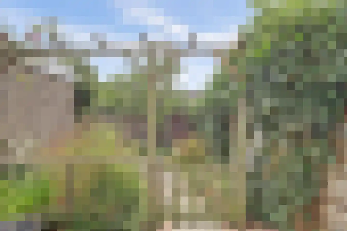 Prickwaert 64 Sliedrecht thumbnail 44