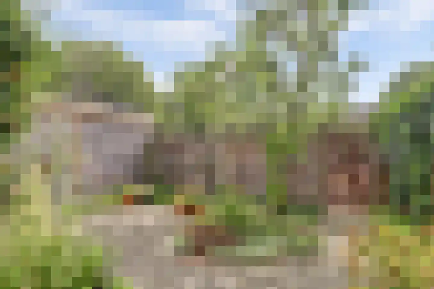 Prickwaert 64 Sliedrecht thumbnail 46