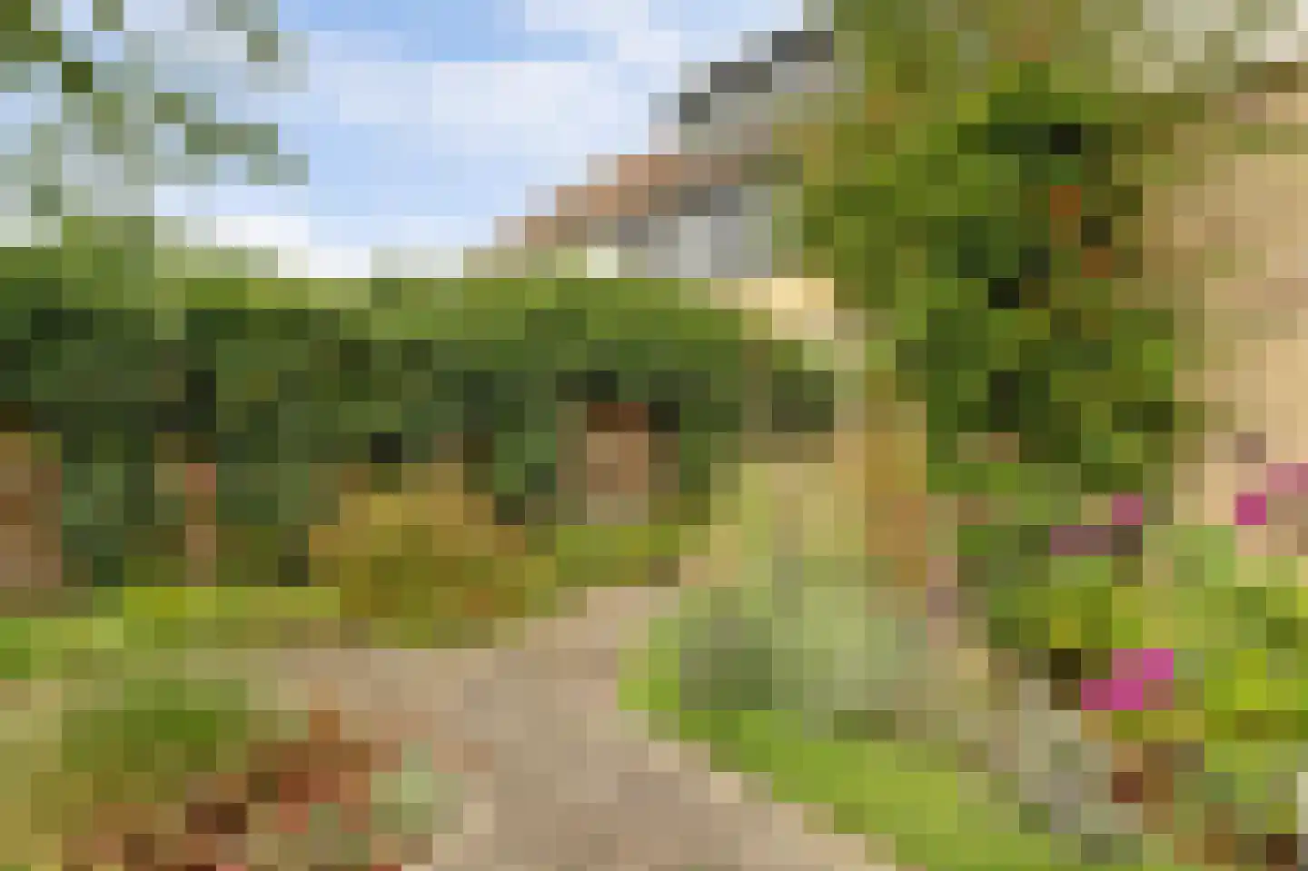 Prickwaert 64 Sliedrecht thumbnail 47