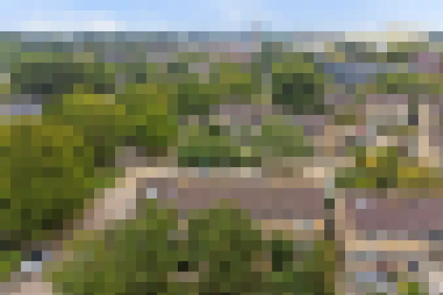 Prickwaert 64 Sliedrecht thumbnail 53