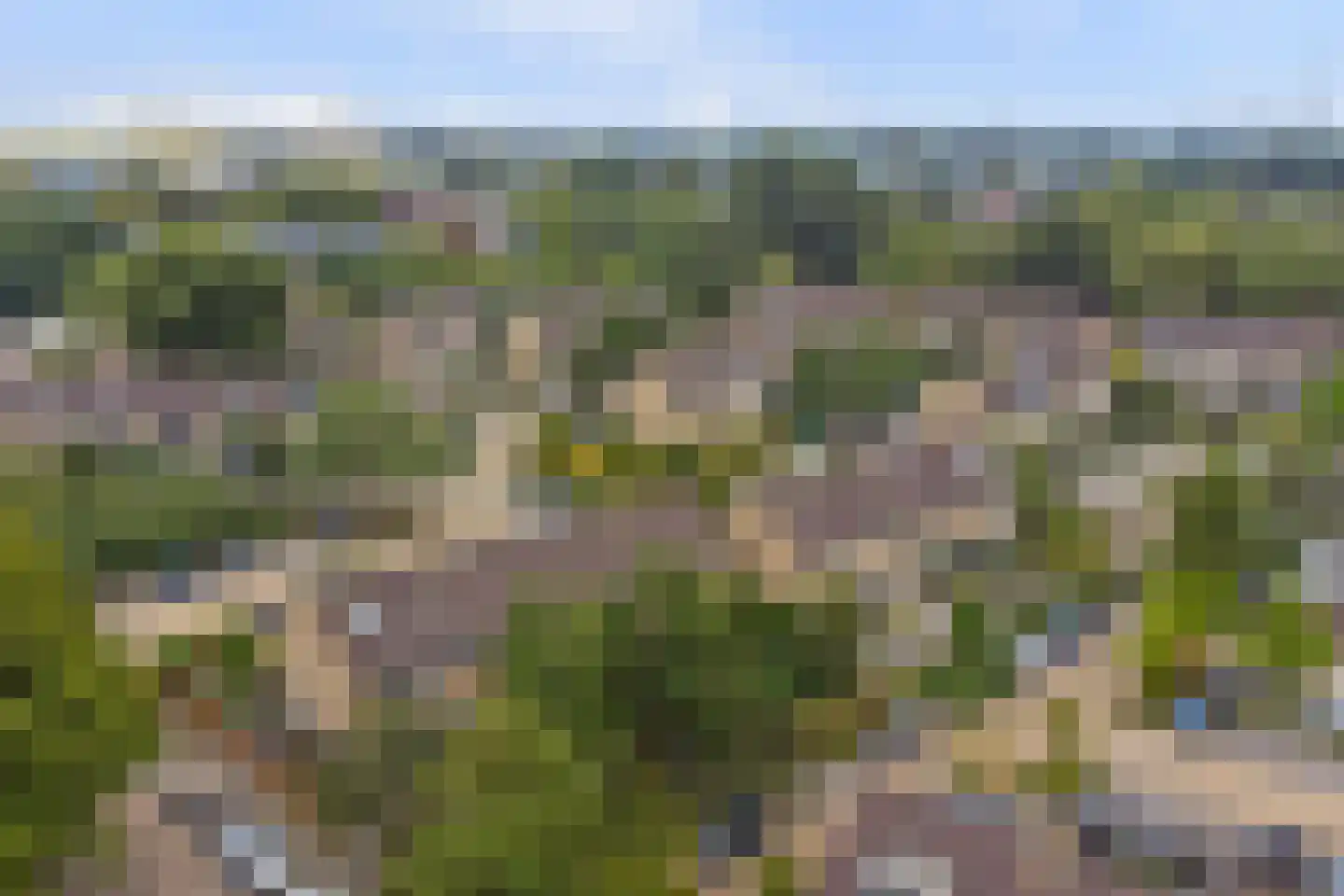 Prickwaert 64 Sliedrecht thumbnail 54