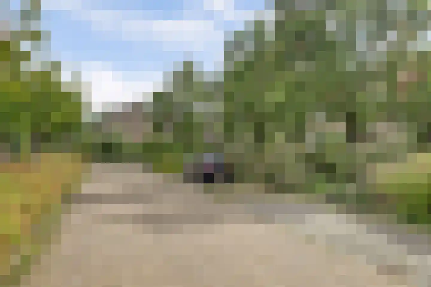Prickwaert 64 Sliedrecht thumbnail 6