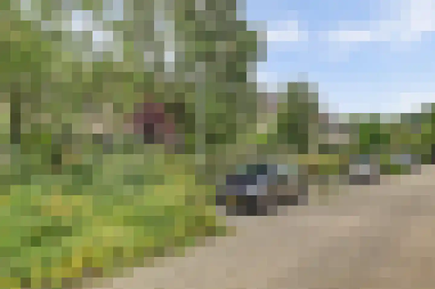 Prickwaert 64 Sliedrecht thumbnail 7