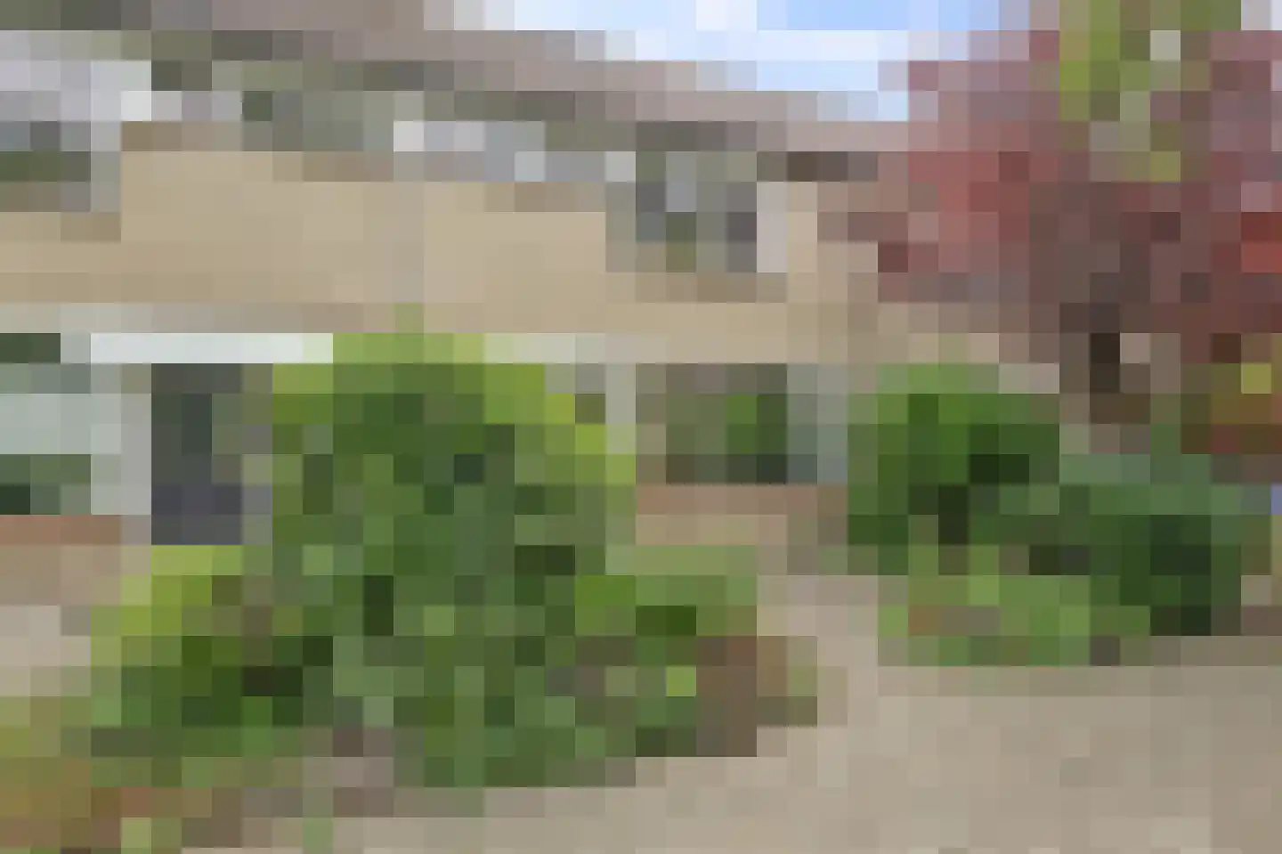 Prickwaert 64 Sliedrecht thumbnail 9