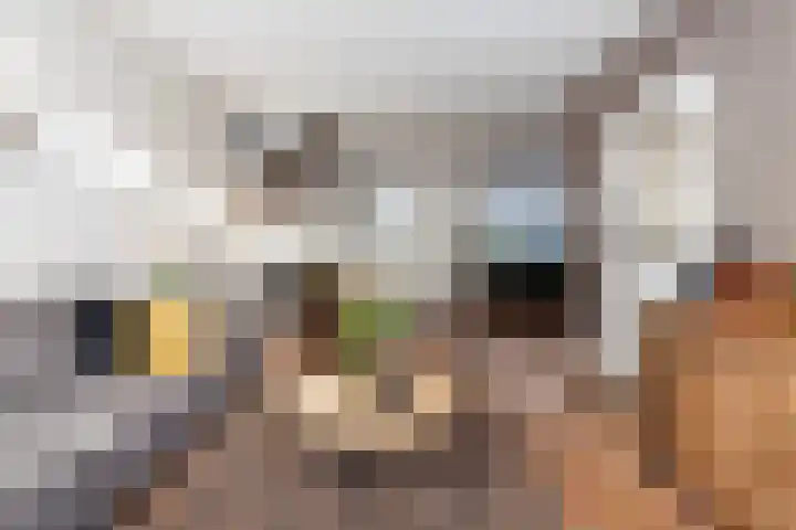 Prickwaert 65 Sliedrecht thumbnail 10