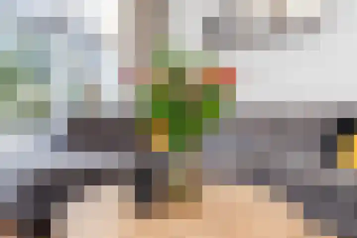 Prickwaert 65 Sliedrecht thumbnail 12