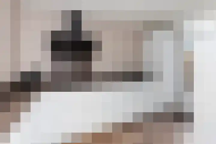 Prickwaert 65 Sliedrecht thumbnail 15