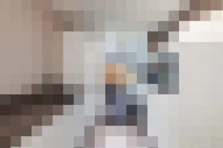 Prickwaert 65 Sliedrecht thumbnail 18
