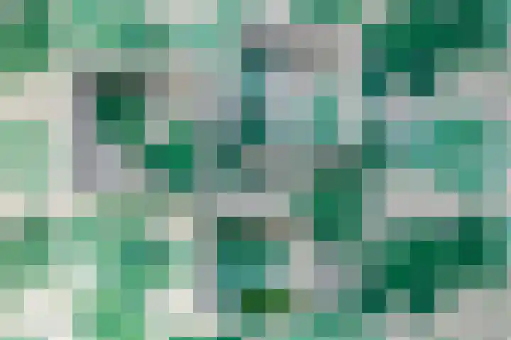Prickwaert 65 Sliedrecht thumbnail 25