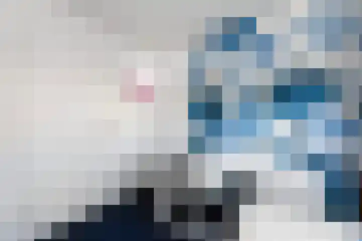 Prickwaert 65 Sliedrecht thumbnail 27