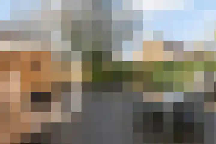 Prickwaert 65 Sliedrecht thumbnail 37