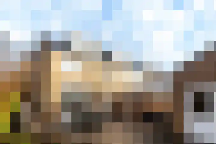 Prickwaert 65 Sliedrecht thumbnail 38