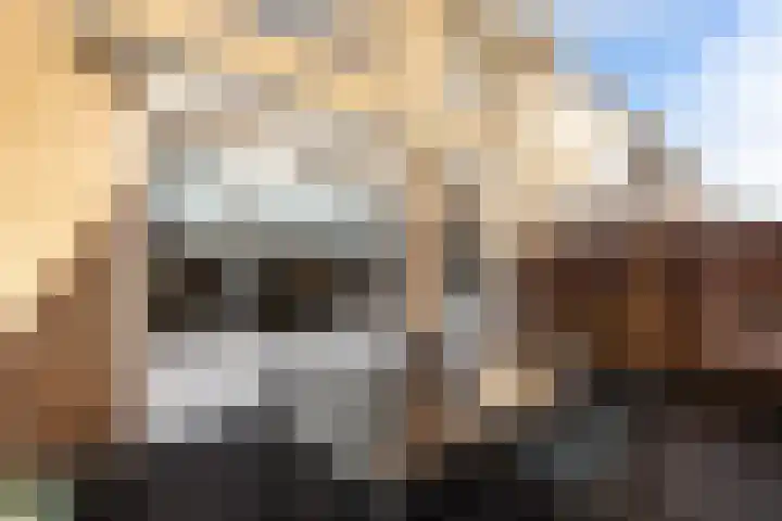 Prickwaert 65 Sliedrecht thumbnail 39
