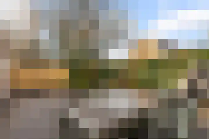 Prickwaert 65 Sliedrecht thumbnail 40