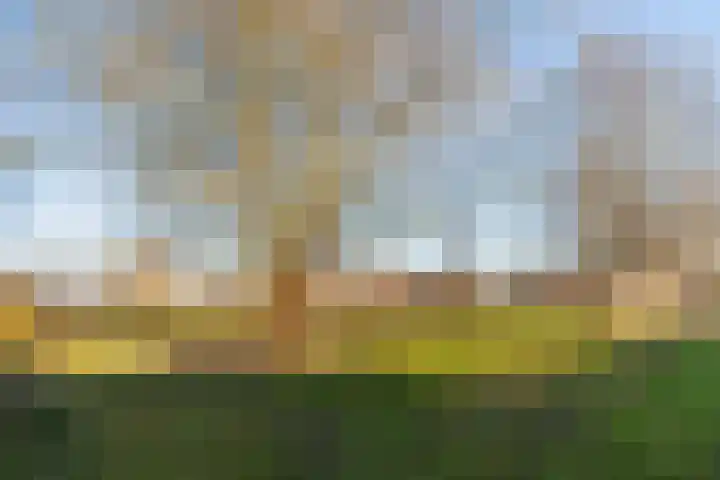 Prickwaert 65 Sliedrecht thumbnail 45
