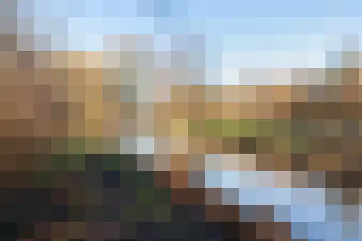 Prickwaert 65 Sliedrecht thumbnail 46