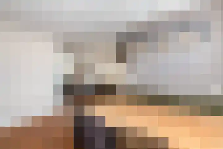 Prickwaert 65 Sliedrecht thumbnail 6