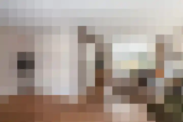 Prickwaert 65 Sliedrecht thumbnail 7