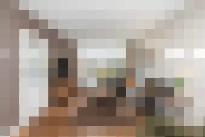 Prickwaert 65 Sliedrecht thumbnail 8