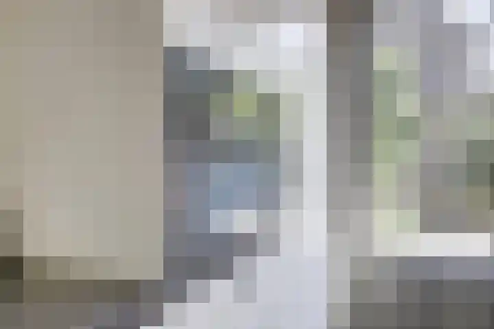 Prickwaert 69 Sliedrecht thumbnail 12