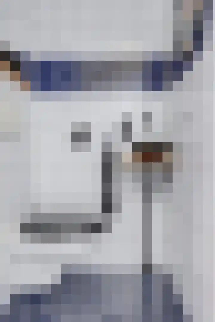 Prickwaert 69 Sliedrecht thumbnail 15