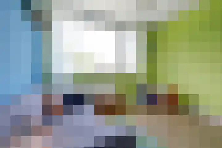 Prickwaert 69 Sliedrecht thumbnail 19