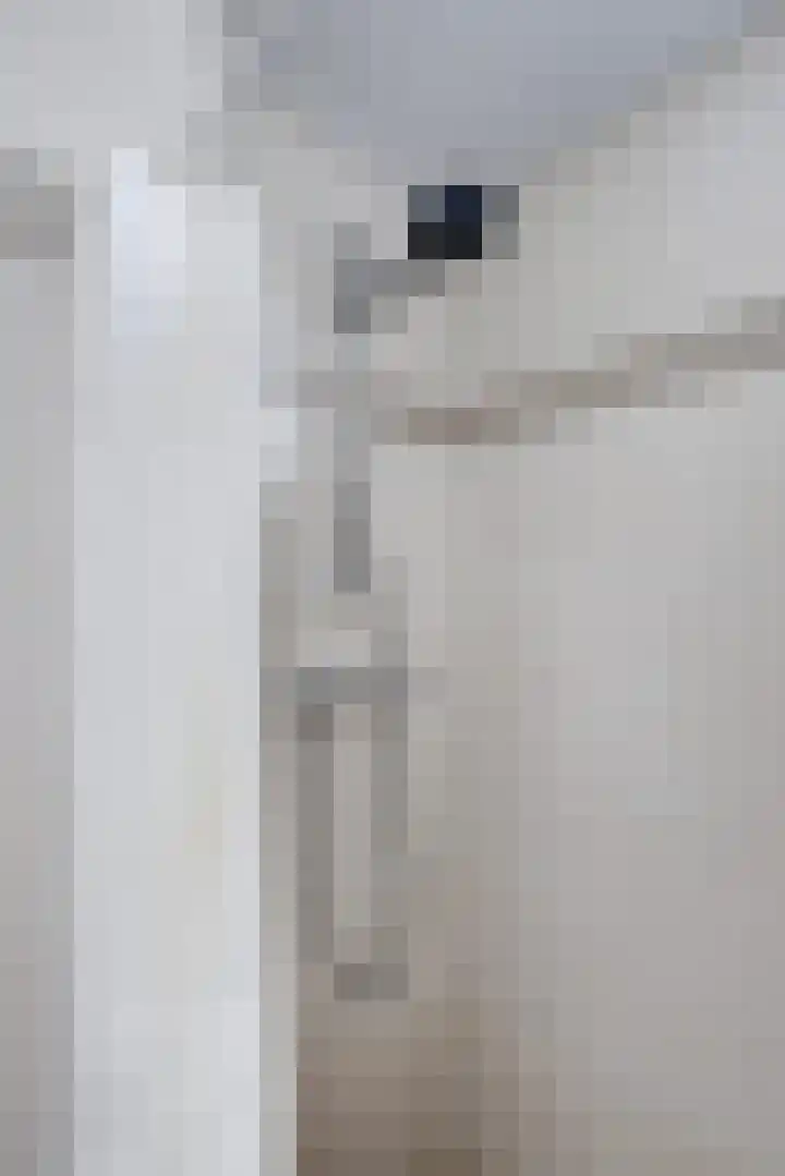Prickwaert 69 Sliedrecht thumbnail 25