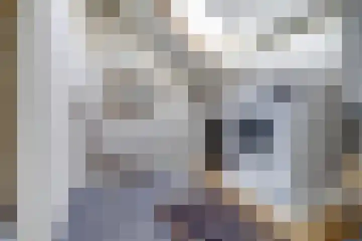 Prickwaert 69 Sliedrecht thumbnail 28