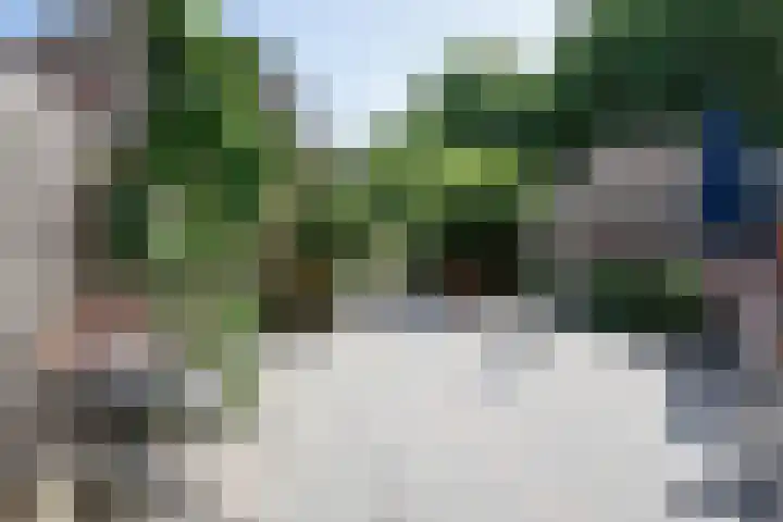 Prickwaert 69 Sliedrecht thumbnail 37