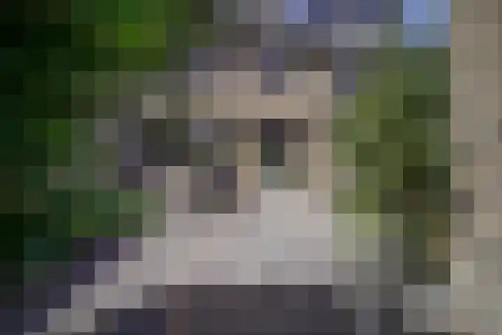 Prickwaert 69 Sliedrecht thumbnail 38