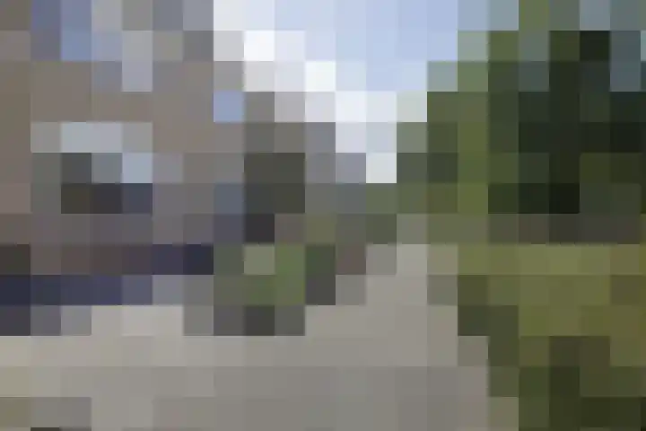 Prickwaert 69 Sliedrecht thumbnail 40