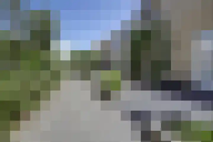 Prickwaert 69 Sliedrecht thumbnail 41