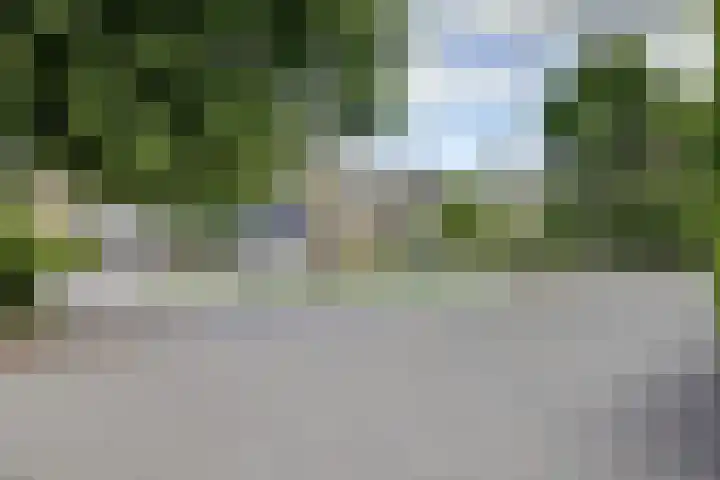 Prickwaert 69 Sliedrecht thumbnail 42