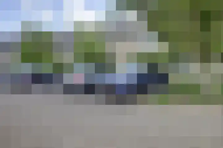 Prickwaert 69 Sliedrecht thumbnail 43