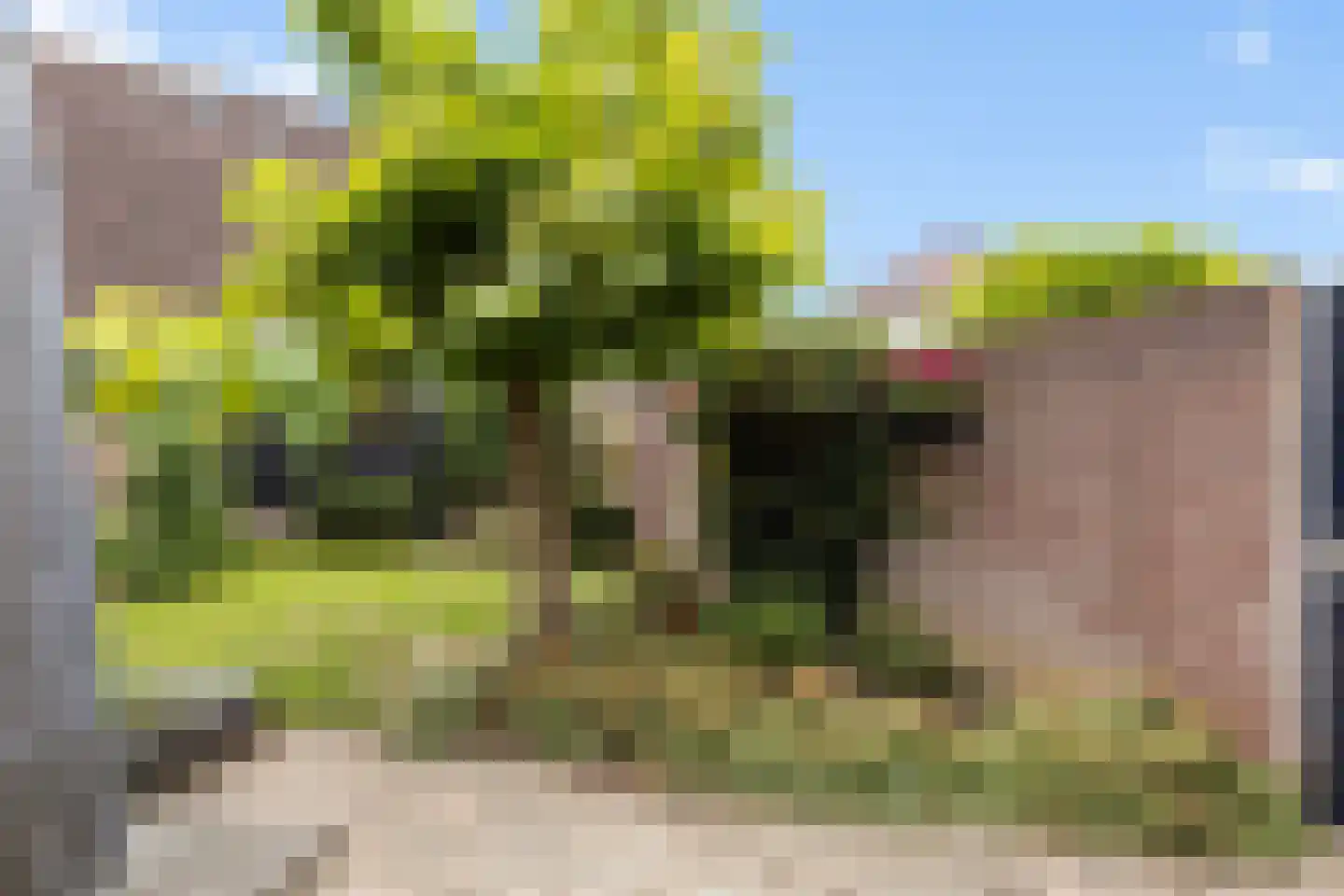 Priëel 17 Almelo thumbnail 35