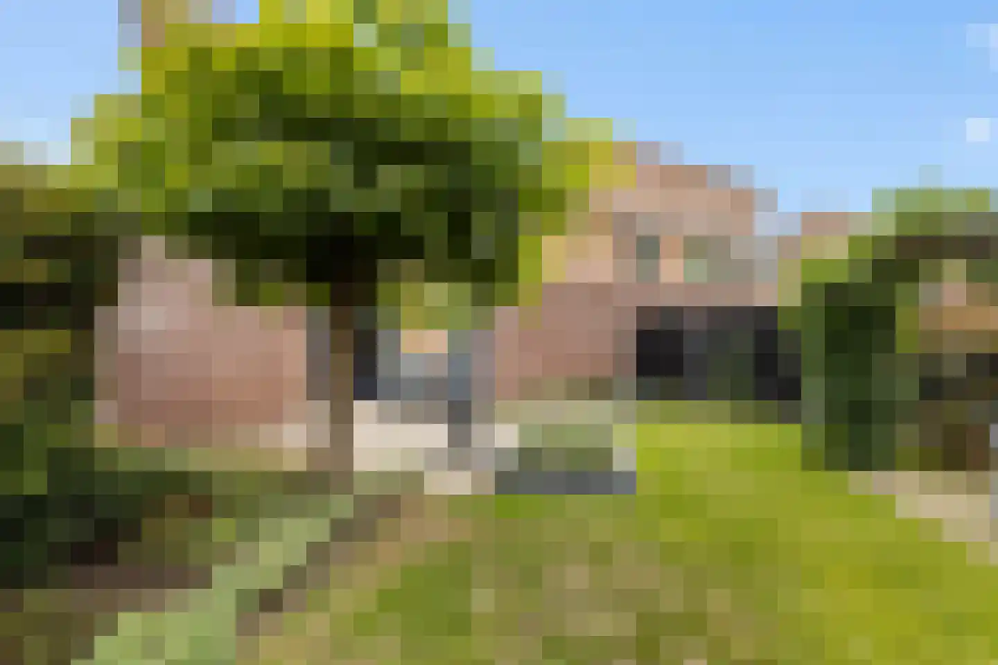 Priëel 17 Almelo thumbnail 36