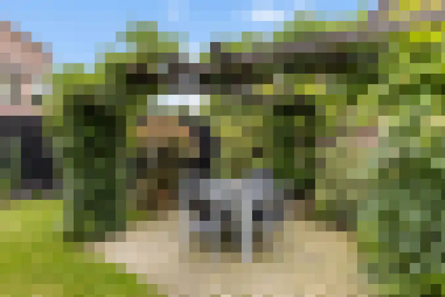 Priëel 17 Almelo thumbnail 37
